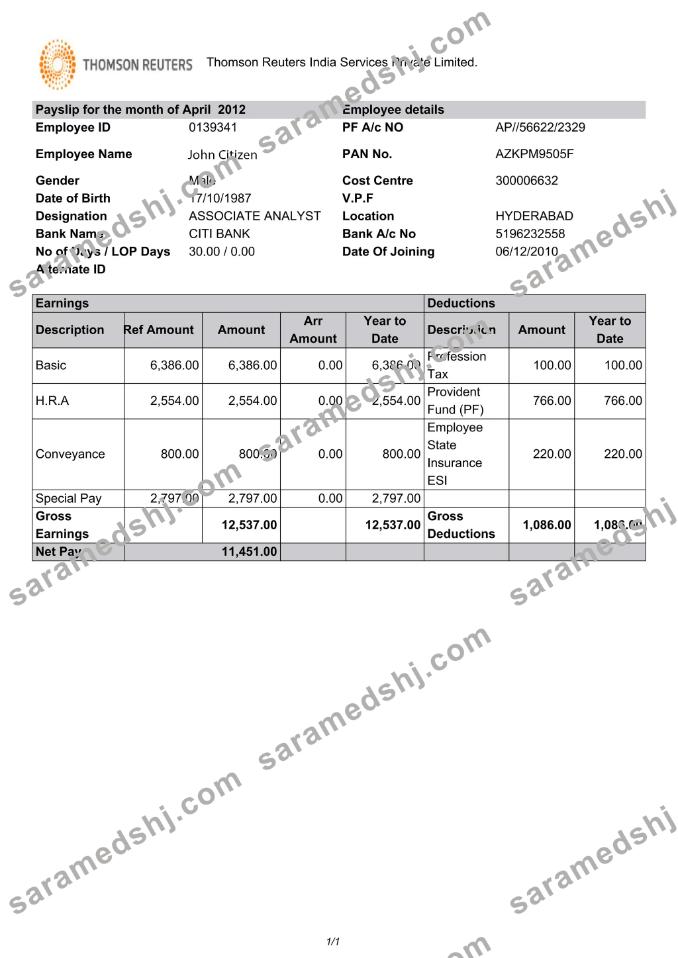 INDIA THOMSON Reuters India Services Private Limited payslip template in Word and PDF formats